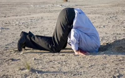 The Top 10 Reasons Not To Look At Your P&L And Balance Sheet